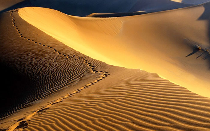 مهمانی سکوت در دل کویر