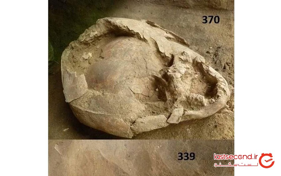 جمجمه های این نوزادان 2000 سال قبل کلاه ایمنی داشته است