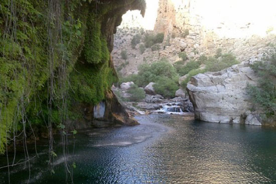 کرمان دیار کریمان
