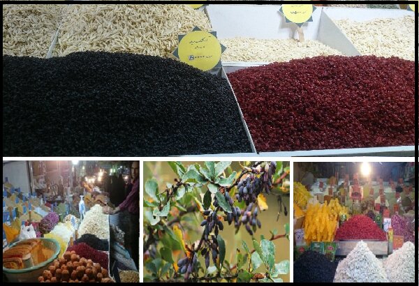 قیمت نجومیِ گرانترین زرشک تجاری ایران