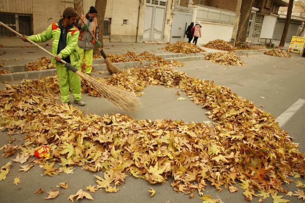 هنرنمایی پاکبانان ارومیه‌ای با برگ‌های پاییزی
