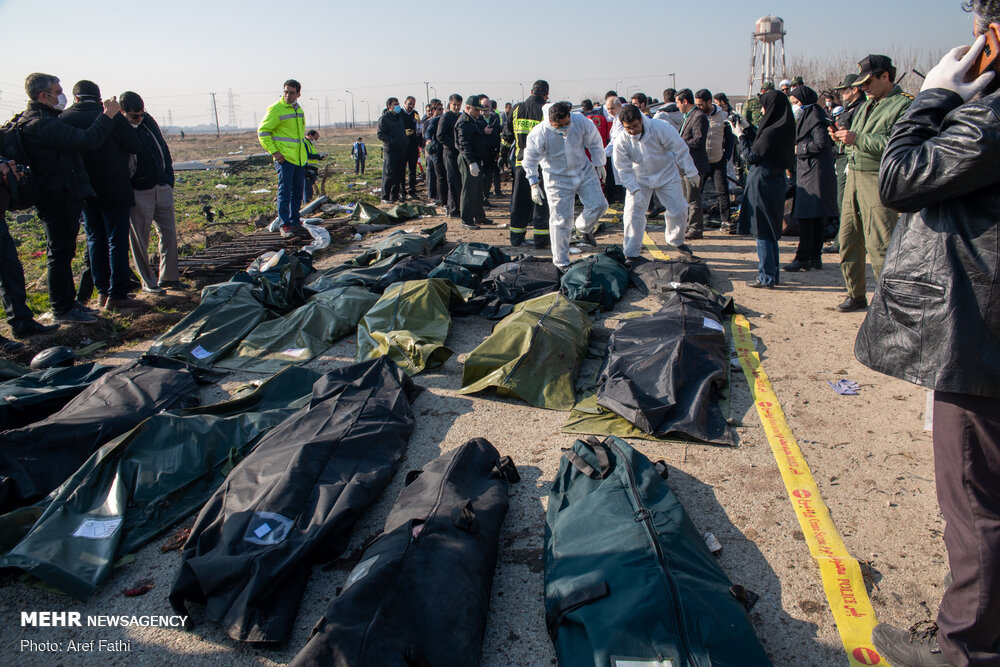 شناسایی هویت ۵۰ جان‌باخته حادثه سقوط هواپیمای اوکراینی