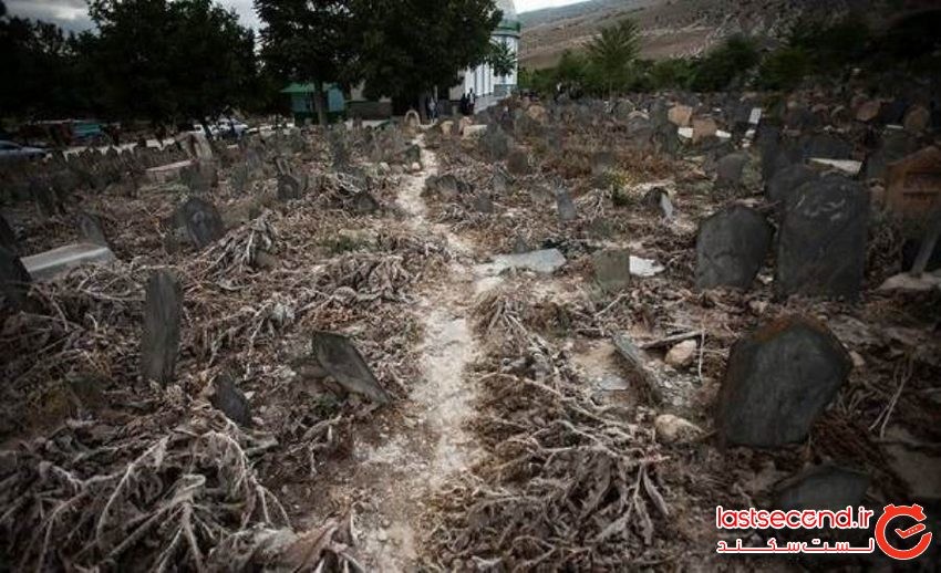 قبرستان تاریخی سفیدچاه