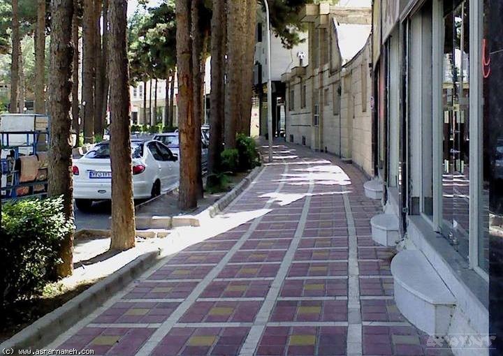 مشاهدات پروفسور سایمون بل، از طراحی شهری تهران +تصاویر