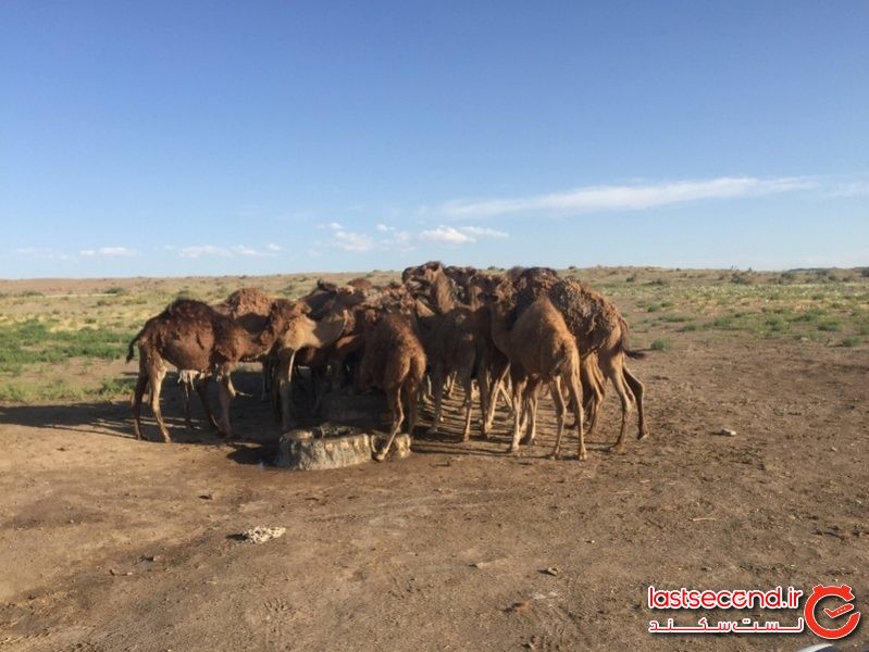 کویر مرنجاب
