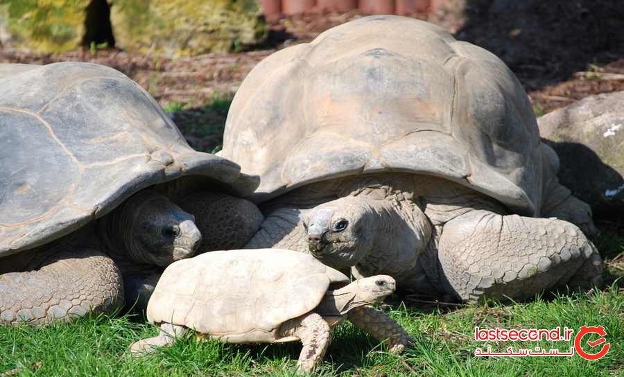 راهنمای سفر به آمستردام و کارهایی که باید انجام داد