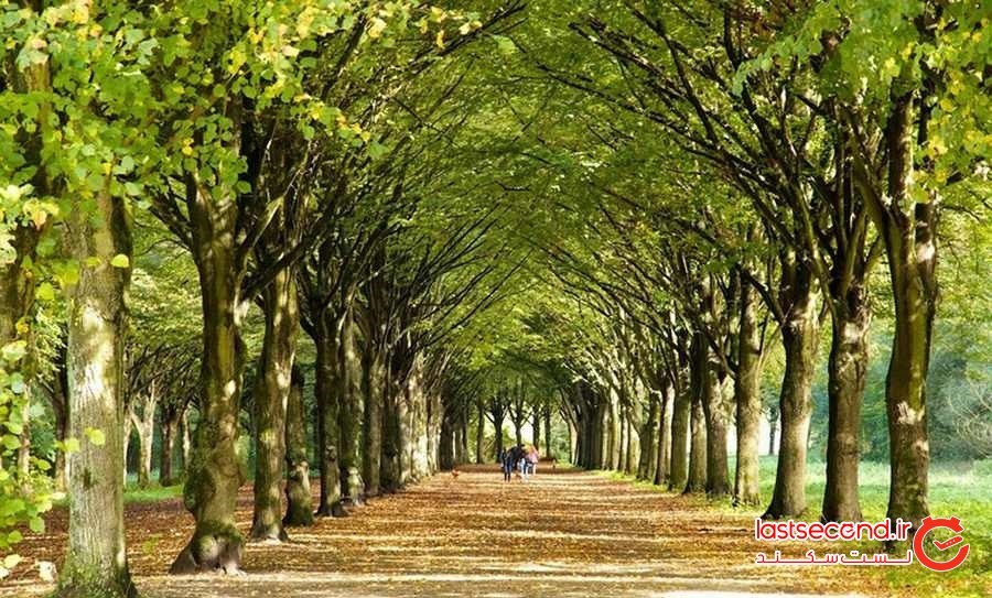 راهنمای سفر به آمستردام و کارهایی که باید انجام داد