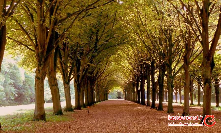 راهنمای سفر به آمستردام و کارهایی که باید انجام داد