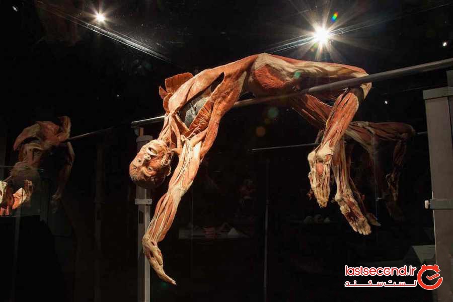 راهنمای سفر به آمستردام و کارهایی که باید انجام داد