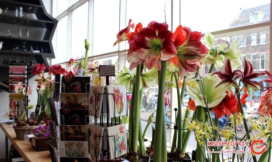راهنمای سفر به آمستردام و کارهایی که باید انجام داد