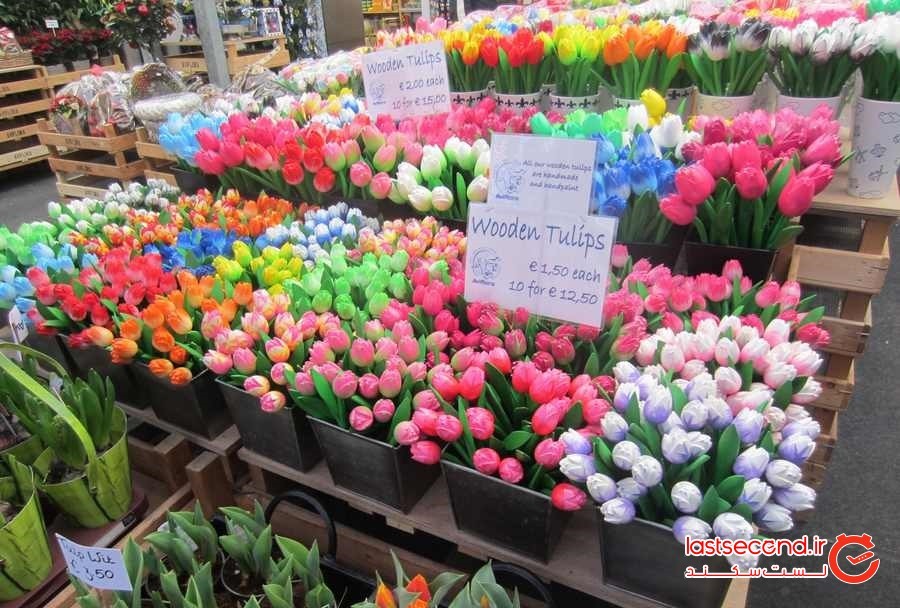 راهنمای سفر به آمستردام و کارهایی که باید انجام داد