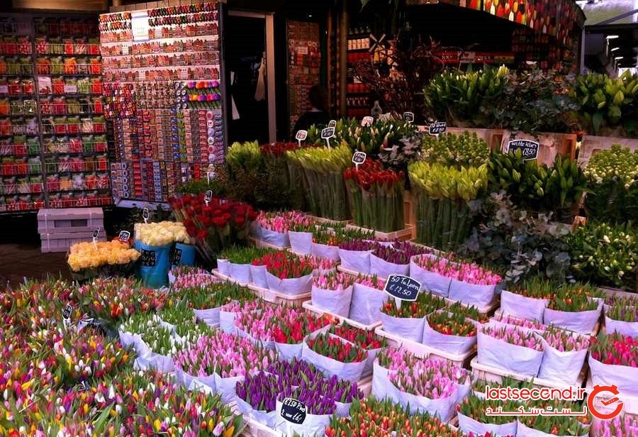 راهنمای سفر به آمستردام و کارهایی که باید انجام داد
