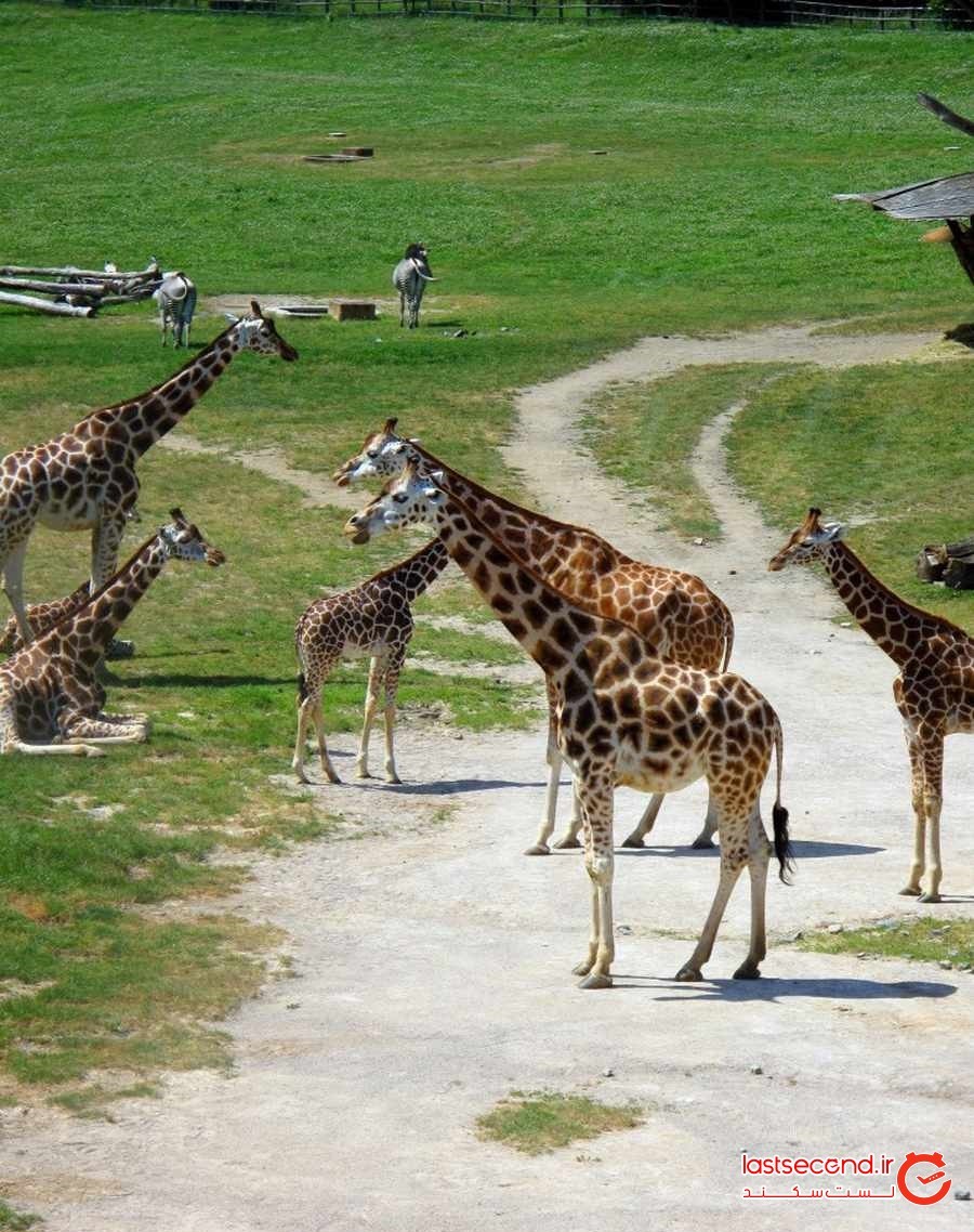 راهنمای سفر به پراگ، شهری زیبا در دل اروپا
