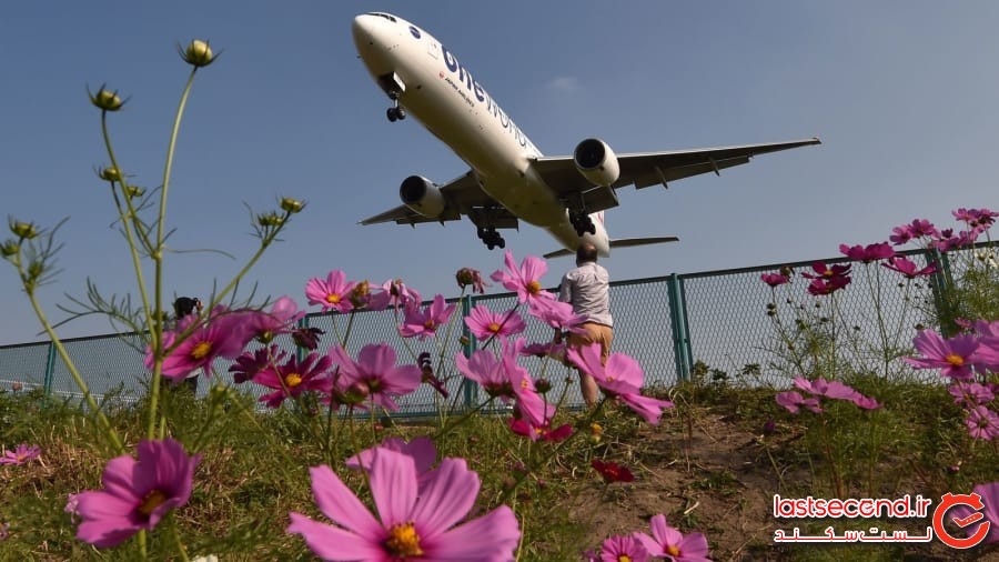 فهرست وقت‌شناس‌ترین فرودگاه‌ها و خطوط هوایی 2020 ازنظر جدول زمانی