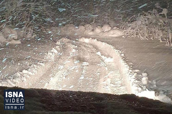 ویدئو / بارش سنگین برف در گیلان؛ از قطعی آب و برق تا ماندن مسافران در جاده