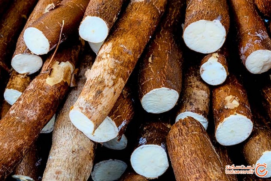 10 تا از خطرناک ترین غذاهایی که انسان ها می توانند بخورند!