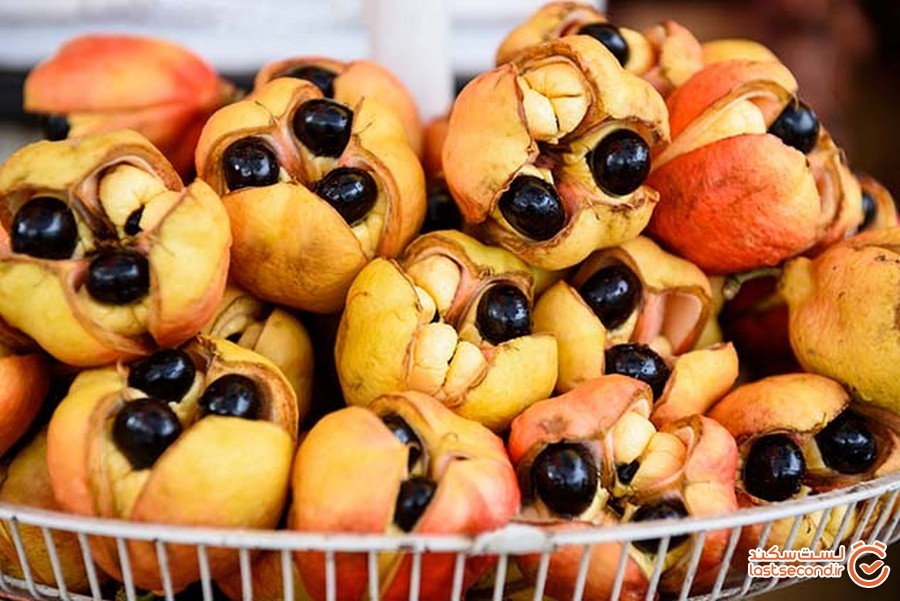 10 تا از خطرناک ترین غذاهایی که انسان ها می توانند بخورند!