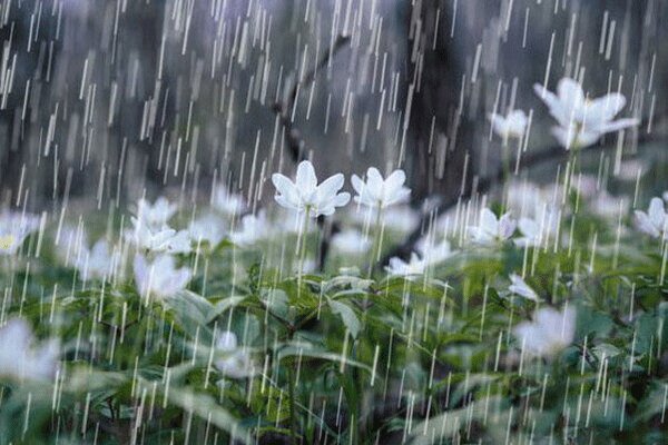 بارشهای رگباری همراه با رعدوبرق در استان اصفهان پیش بینی می‌شود