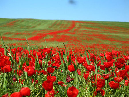 دیدنی های سمنان,مکانهای تفریحی سمنان,جاذبه های گردشگری سمنان