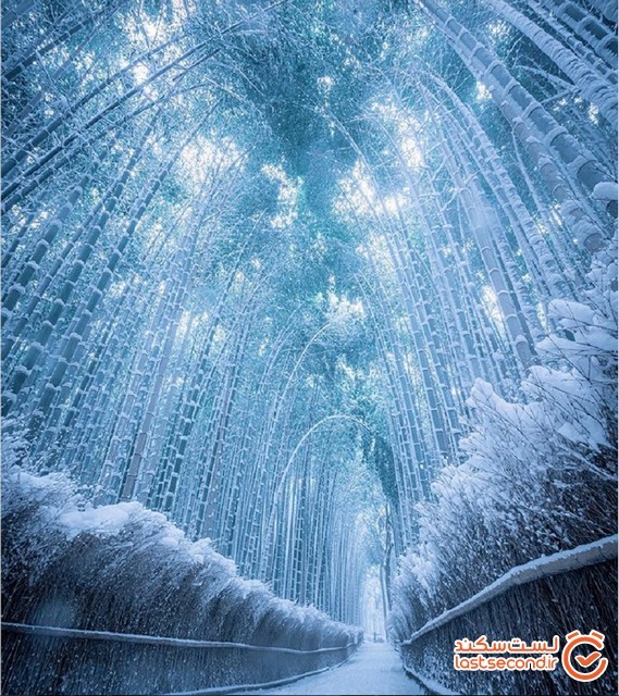 زیبایی جادویی معابد شهری عجیب در زمستانی که گذشت! +تصاویر