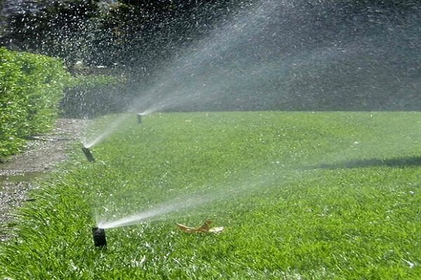 سرانه فضای سبز تبریز به حد استاندارد برسد سرانه فضای سبز تبریز به حد استاندارد برسد