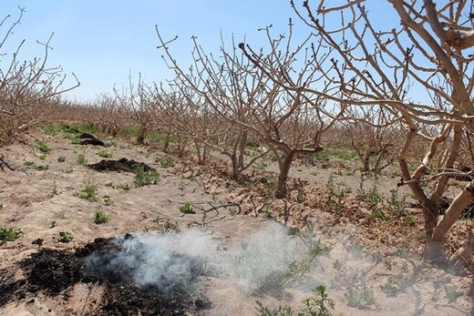 سرمازدگی سخت در راه است سرمازدگی سخت در راه است