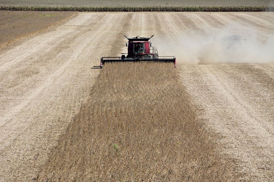 شیوع کرونا به کشاورزان آمریکایی آسیب زده است