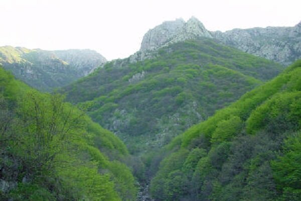 خاروانا خاروانا