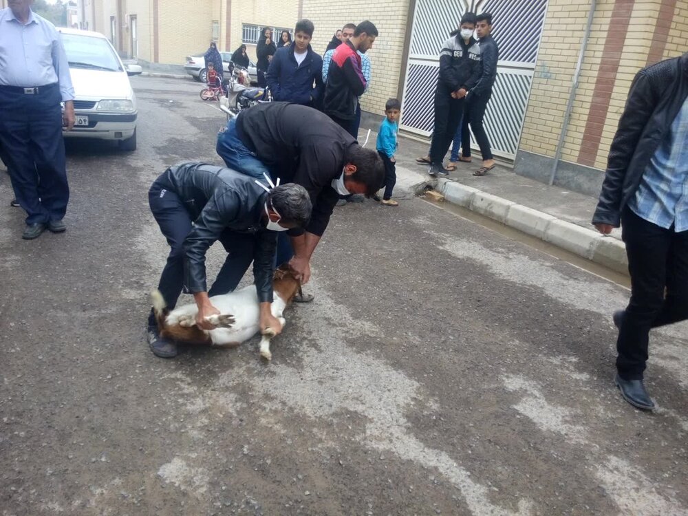 نشان «مجروح سلامت» بر گردن نوجوان فداکار اردستانی