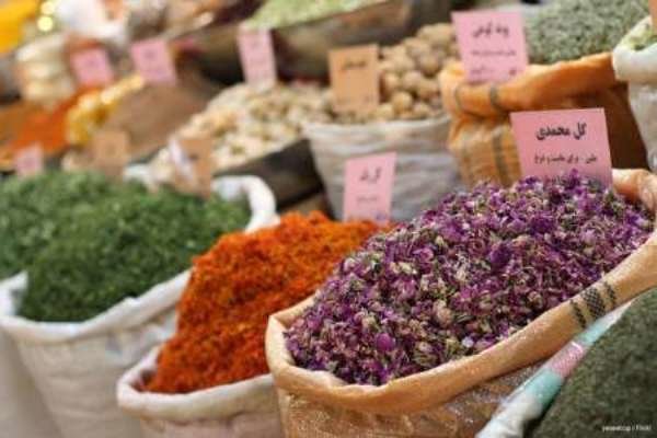 نقش پررنگ دلالان در بازار گیاهان دارویی/ جای کشت و صنعت خالی است نقش پررنگ دلالان در بازار گیاهان دارویی/ جای کشت و صنعت خالی است