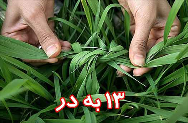 نگاهی به آیین سیزده در میان شهسواری ها نگاهی به آیین سیزده در میان شهسواری ها