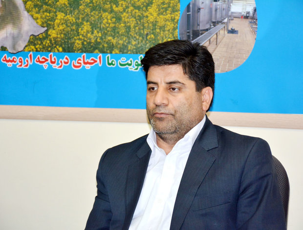 پیشبینی برداشت بیش از ۸۰۰ هزار تن گندم از مزارع آذربایجانشرقی پیشبینی برداشت بیش از ۸۰۰ هزار تن گندم از مزارع آذربایجانشرقی