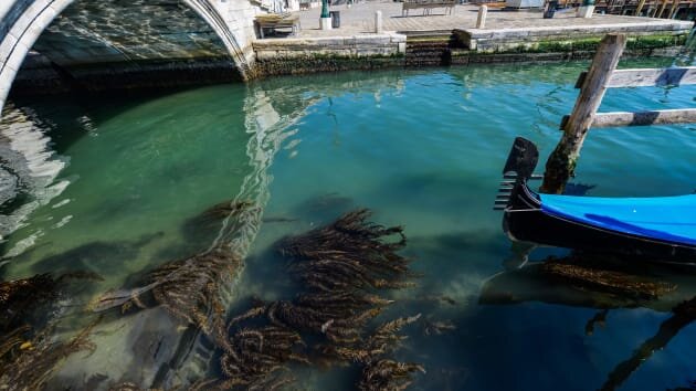 کانال‌های آب در ونیز تمیز شدند | کرونا چطور به محیط زیست کمک می‌کند؟