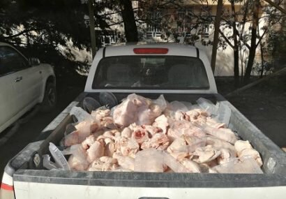 کشف محموله ۴۰۰ کیلو گرمی مرغ غیر قابل مصرف در یاسوج / ضرب و شتم کارشناس دامپزشکی حین انجام وظیفه