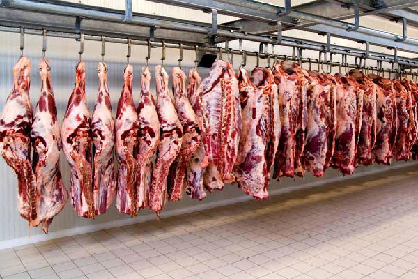 کمپین رحمت وارد فاز اجرایی شد کمپین رحمت وارد فاز اجرایی شد