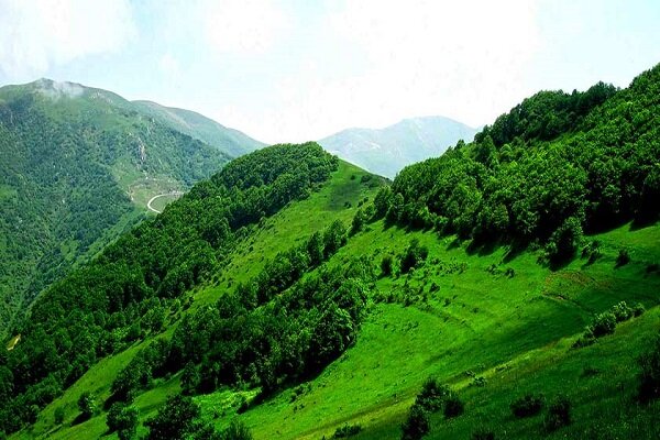 گردش مجازی در جنگلهای زیبا و بکر ارسباران گردش مجازی در جنگلهای زیبا و بکر ارسباران