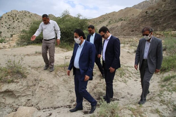 ۲۷۰۰ هکتار از اراضی تنگستان علیه ملخها سمپاشی شد ۲۷۰۰ هکتار از اراضی تنگستان علیه ملخها سمپاشی شد