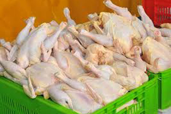 ۳۴۰۰ تن مرغ و گوشت قرمز در گیلان ذخیره سازی شد ۳۴۰۰ تن مرغ و گوشت قرمز در گیلان ذخیره سازی شد