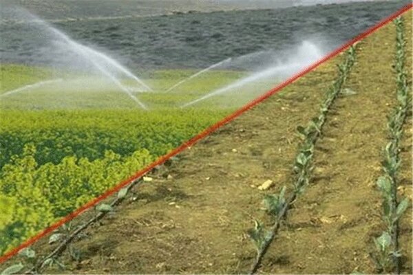 انتقاد از عدم اجرای الگوی کشت کشاورزی در کشور