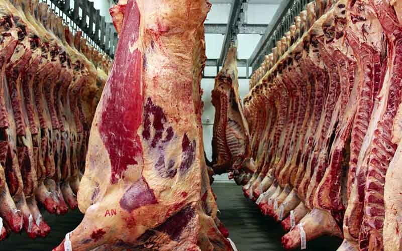 بازار گوشت در رکود به سر میبرد؛ نرخ هر کیلو شقه گوسفندی ۱۰۰ هزار تومان بازار گوشت در رکود به سر میبرد؛ نرخ هر کیلو شقه گوسفندی ۱۰۰ هزار تومان
