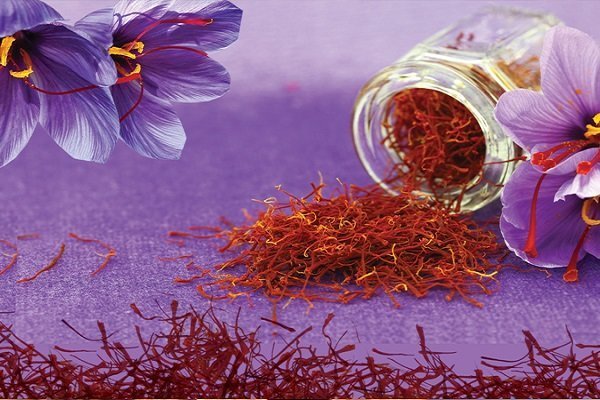 بزرگترین خریداران گیاهان دارویی در دنیا چه کسانی هستند؟