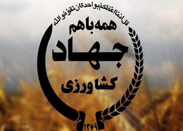 رئیس سازمان جنگل‌ها، مراتع و آبخیزداری کشور منصوب شد