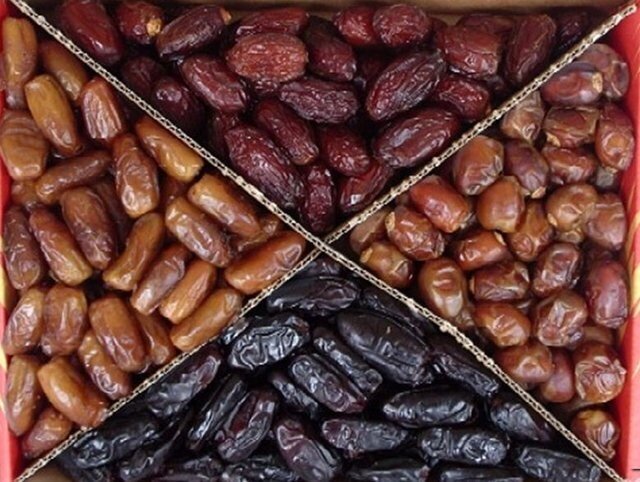 عرضه مستقیم و توزیع ۱۵۰۰ تن خرما در ماه رمضان