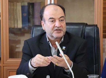 مدیرکل دام‌پزشکی استان کرمان: کسی به دنبال کشتن سگ‌ها نیست