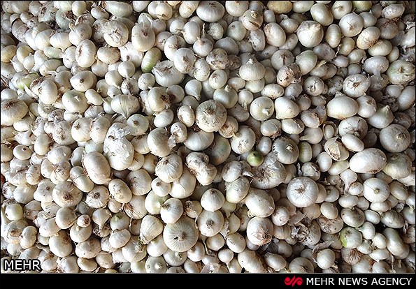 کاهش ۲۱ درصدی قیمت پیاز  و رشد ۳۷ درصدی برنج ایرانی در سال گذشته
