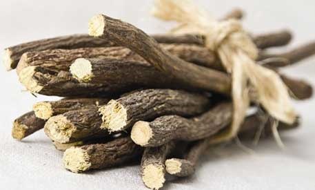 گیاه داروئی گیاه داروئی