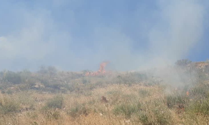 بی‌احتیاطی گردشگران علت آتش‌سوزی در پارک تندوره