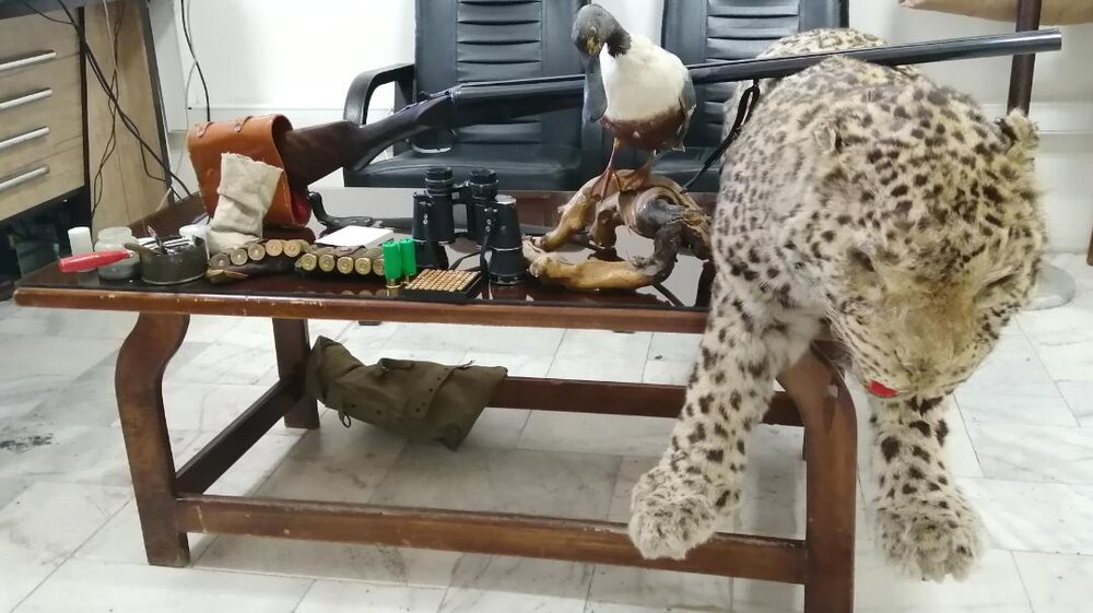 دستگیری شکارچی پلنگ در مشهد
