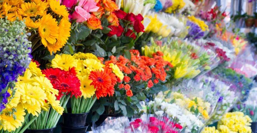 سقوط تقاضا برای خرید گل در بازار