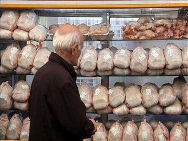 قیمت مصوب مرغ ضرردهی صددرصدی مرغداران را در پی دارد
